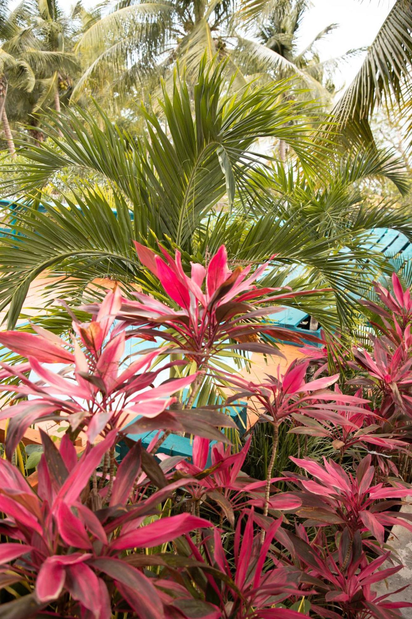 B 7 Blue Bacalar Apartment Bagian luar foto